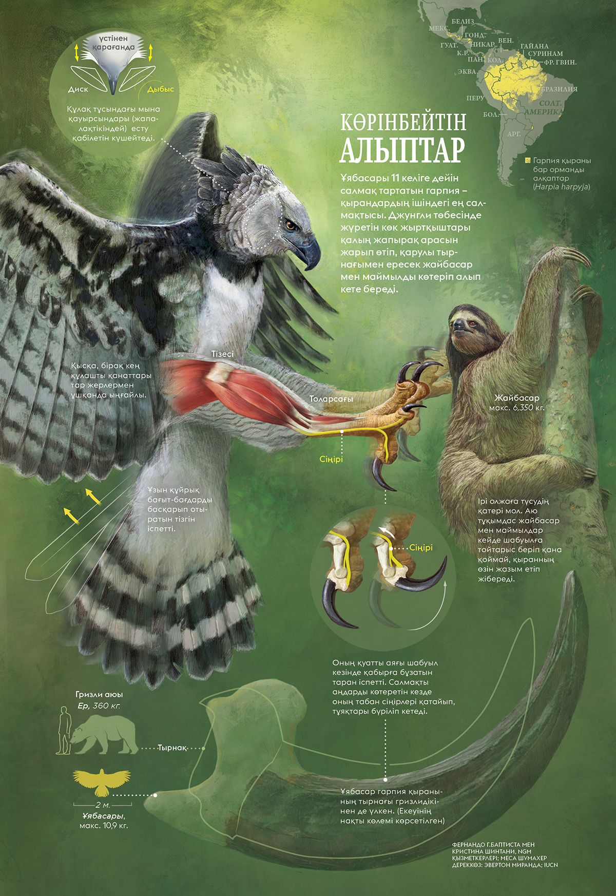 Raptor